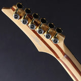 j_custom_JCRG2601_#D26309_[Sound_Messe_2026_Limited_Edition_Model]_08